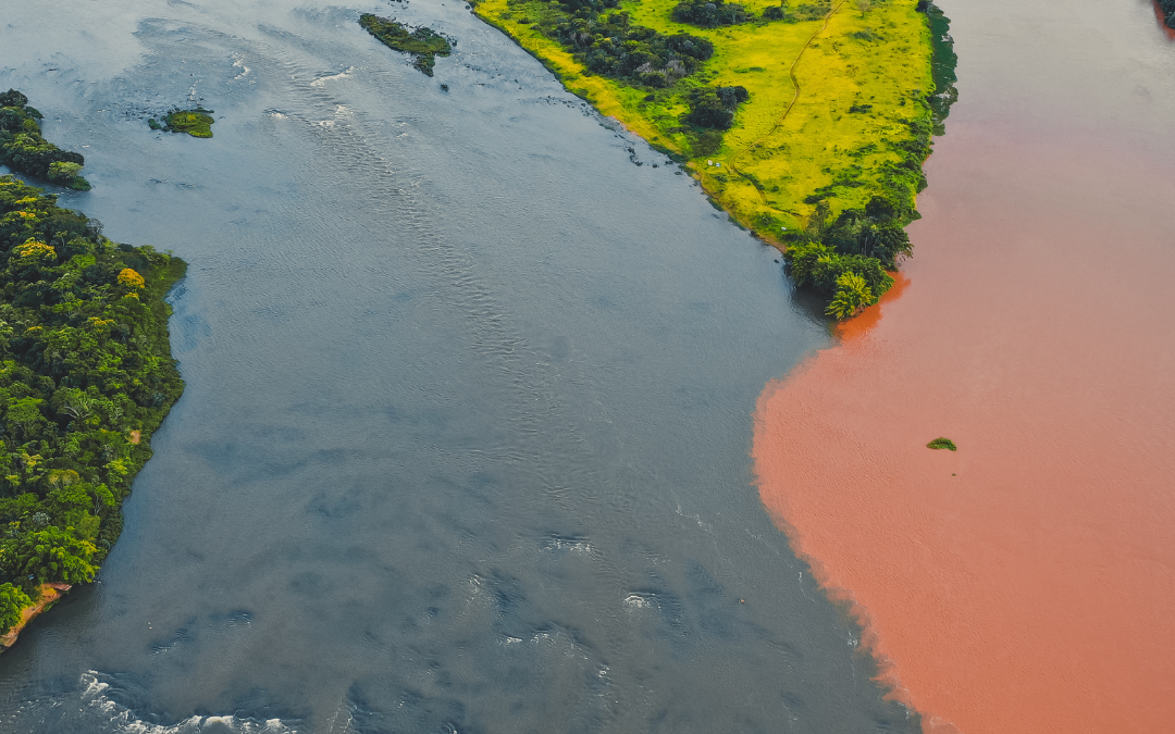 Black Peoples in the Amazon: An invisible history