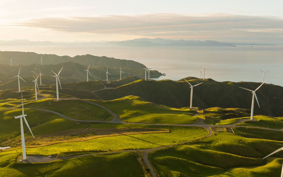 Business in the Balance: Building a more sustainable future