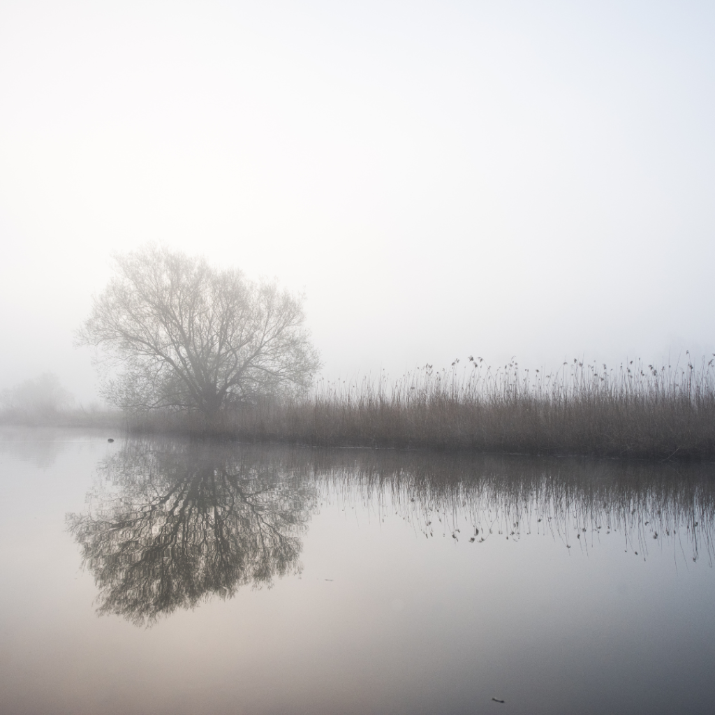 View of a clear river at a calm time of day.